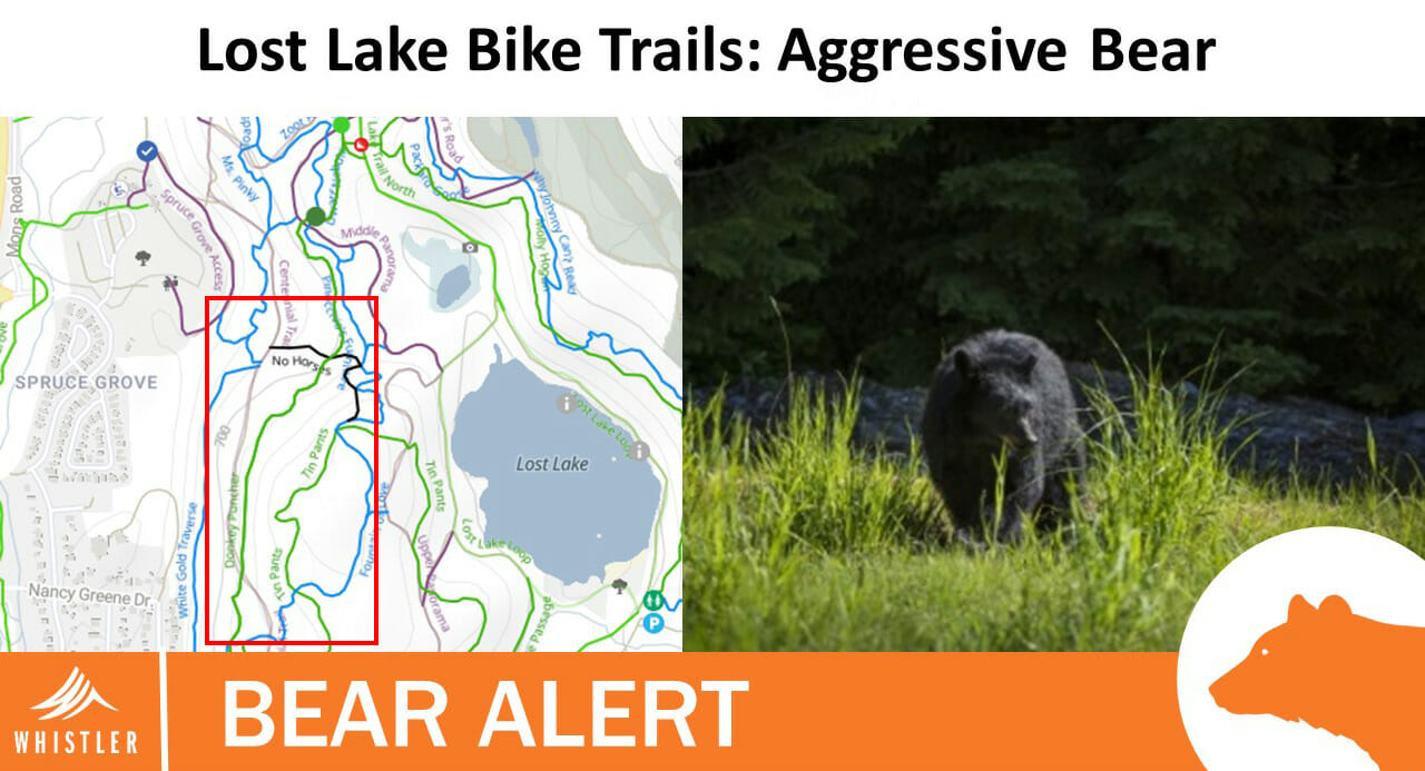 wildlife-alert-lost-lake-aggressive-bear
