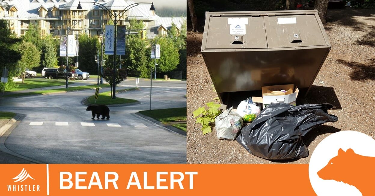 wildlife-alert-garbage-cans
