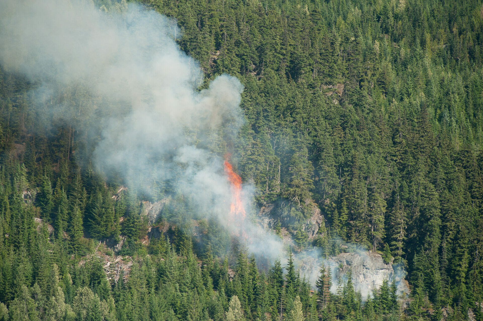 Forest fire in Whistler image