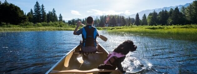 Man canoeing in River of Golden Dreams with dog