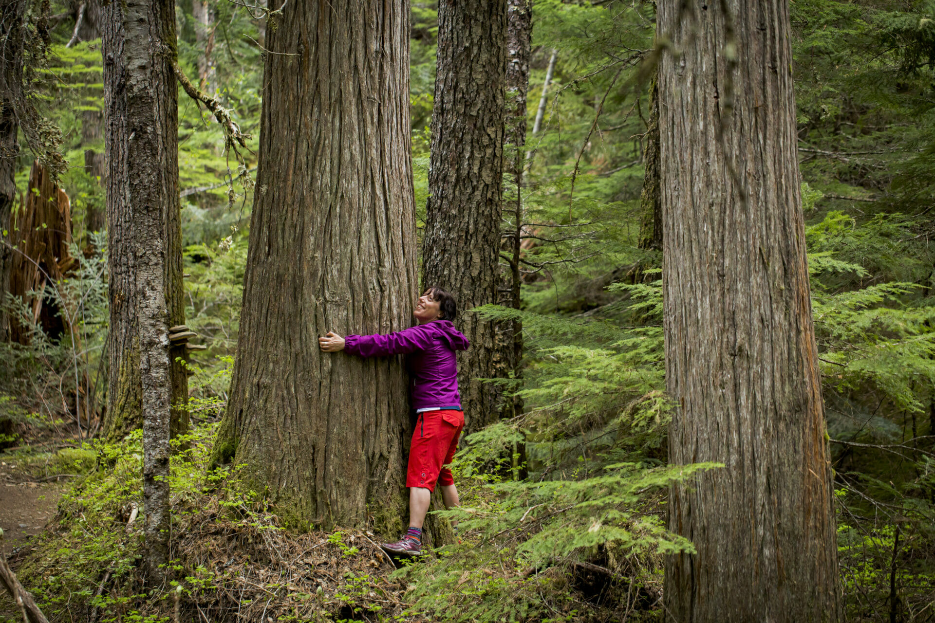 Tree hugging photo by Mike Crane/TW