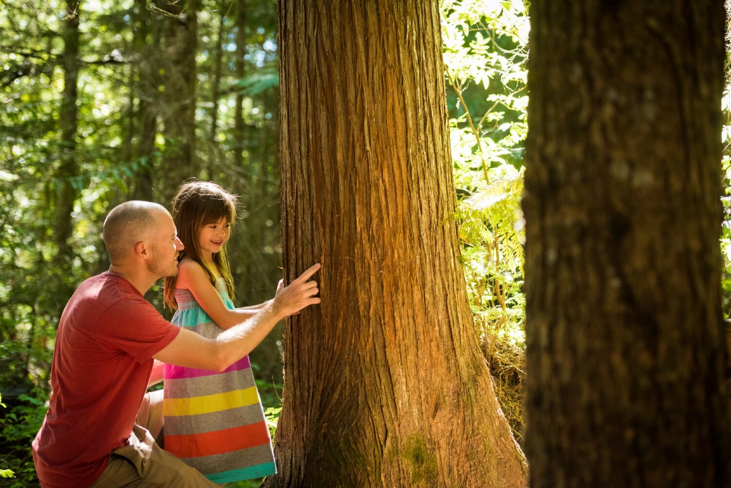 Exploring the trees in Cheakamus Community Forest image by Mike Crane