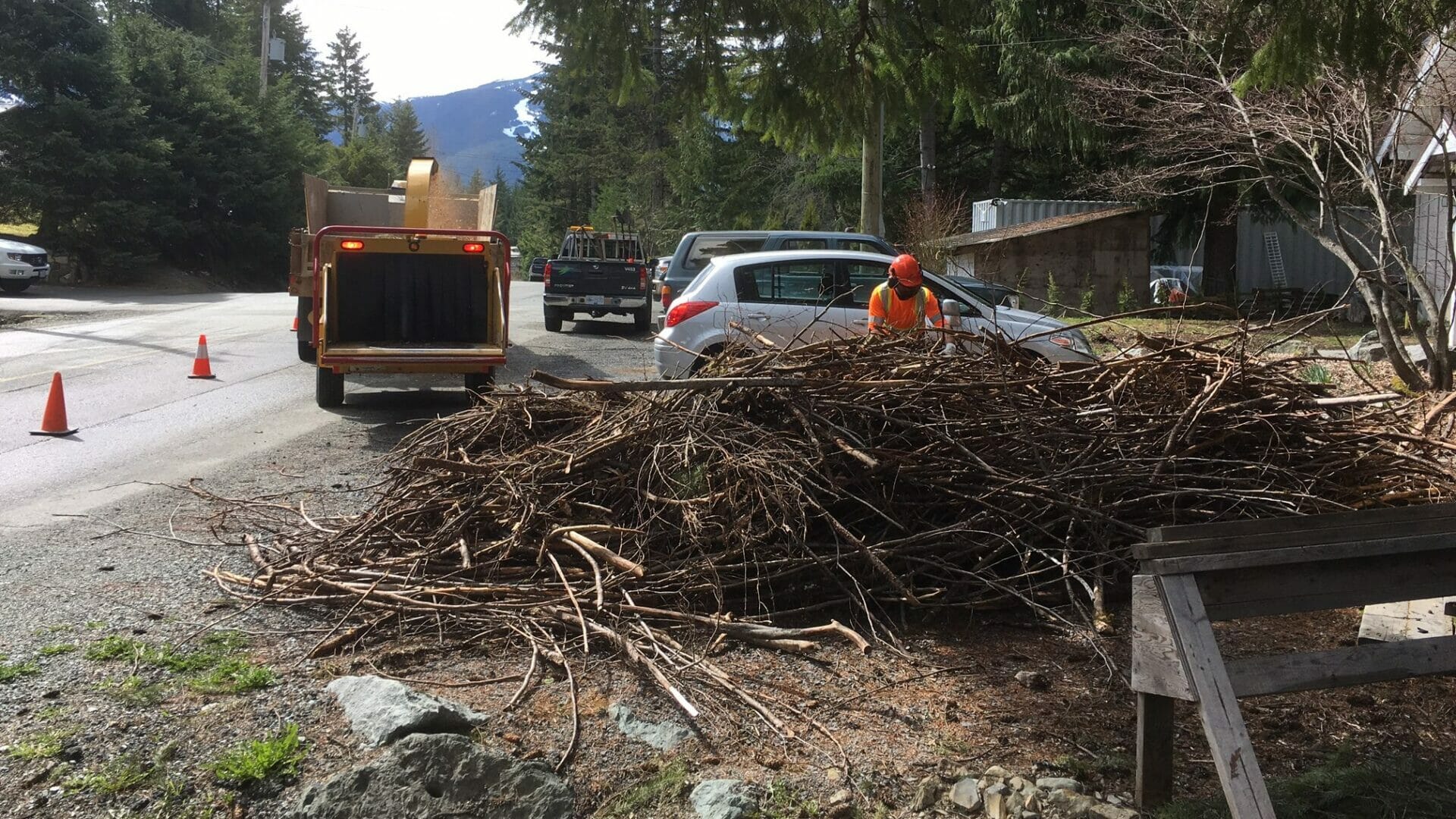 Community chipping day image