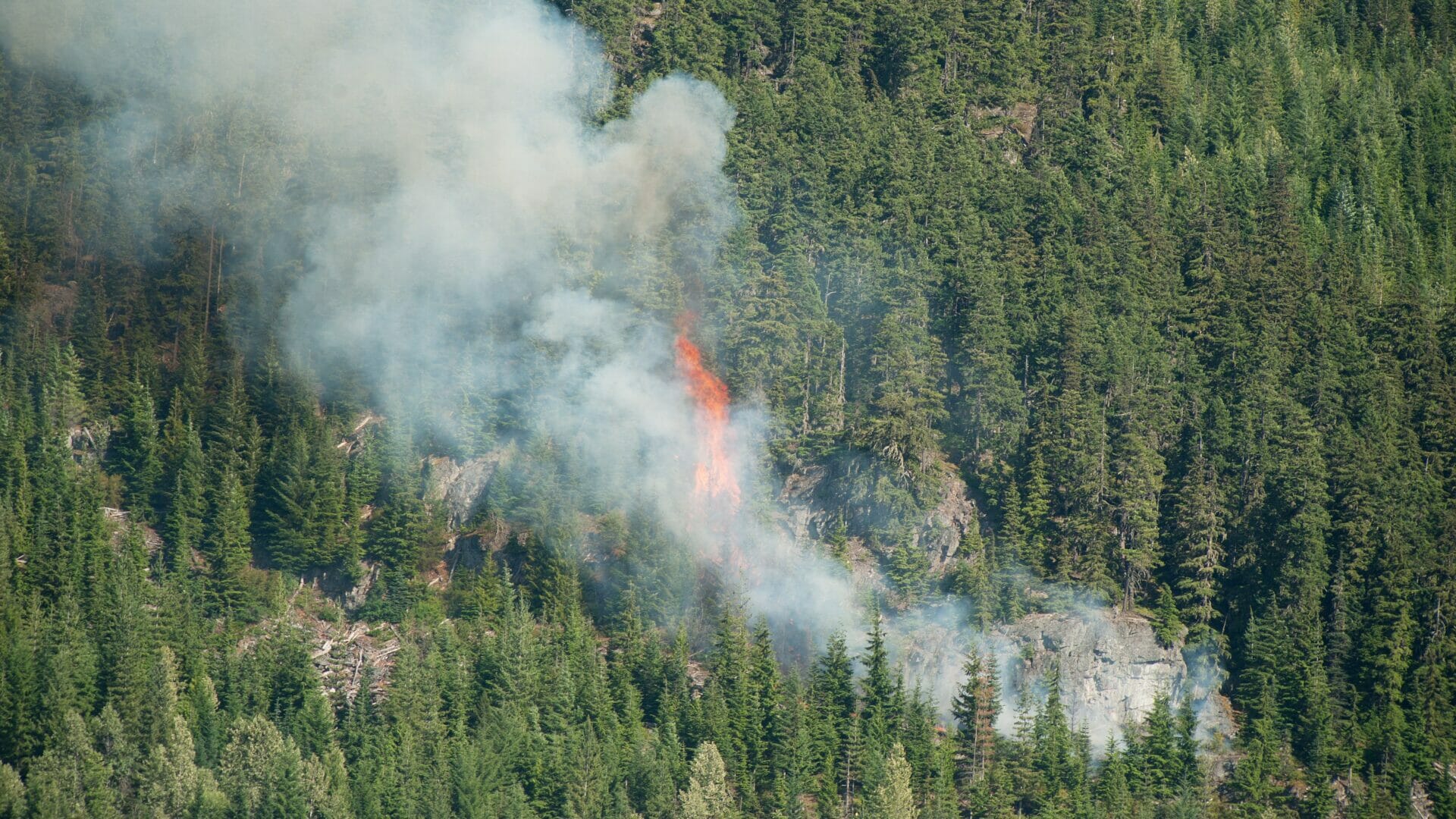 Forest fire in Whistler image