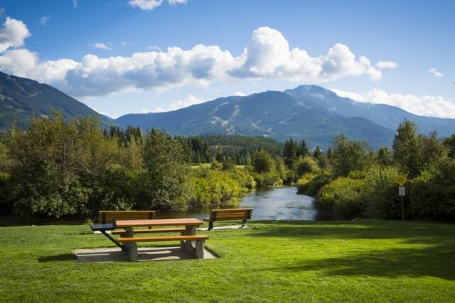 Meadow Park in summer, image by Justa Jeskova