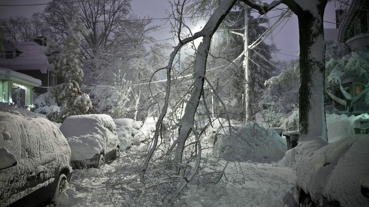 Winter downed power line