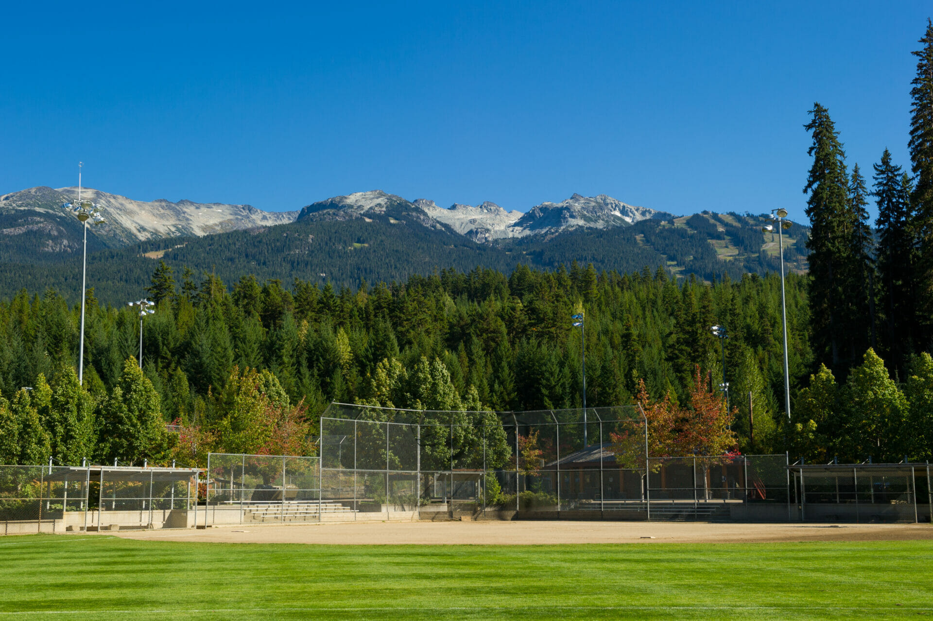 Spruce Grove Park field image by Mike Crane