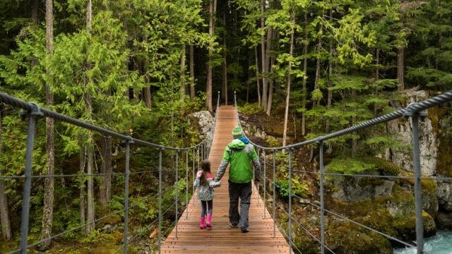 Suspension bridge to Tain Wreck image by Mike Crane, courtesy of Tourism Whistler