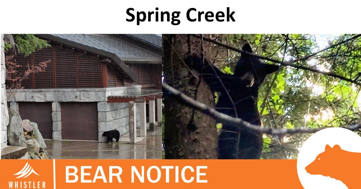 Spring Creek Bear Notice July 2023