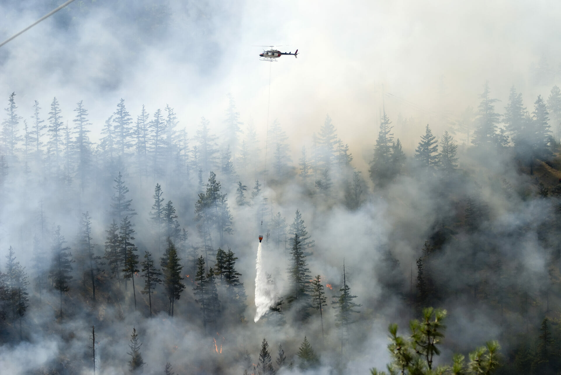 Firefighting a forest fire with white smoke