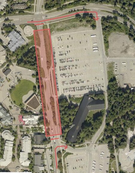Map of tree removal area