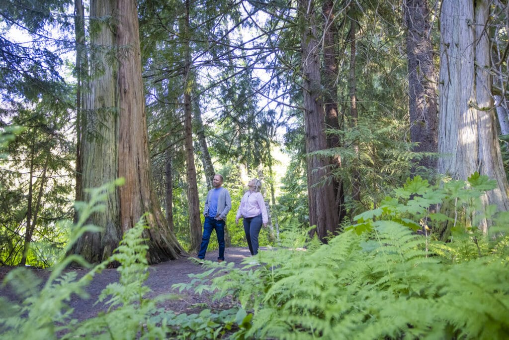Credit: Tourism Whistler/Justa Jeskova
Description: A couple strolls along the Fitzsimmons Trail, surrounded by towering cedar trees and lush greenery in Whistler, BC.