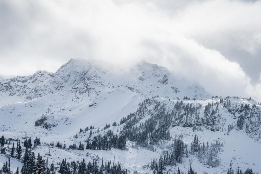 Fresh snow on Whistler Mountain.
