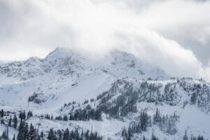 Fresh snow on Whistler Mountain.
