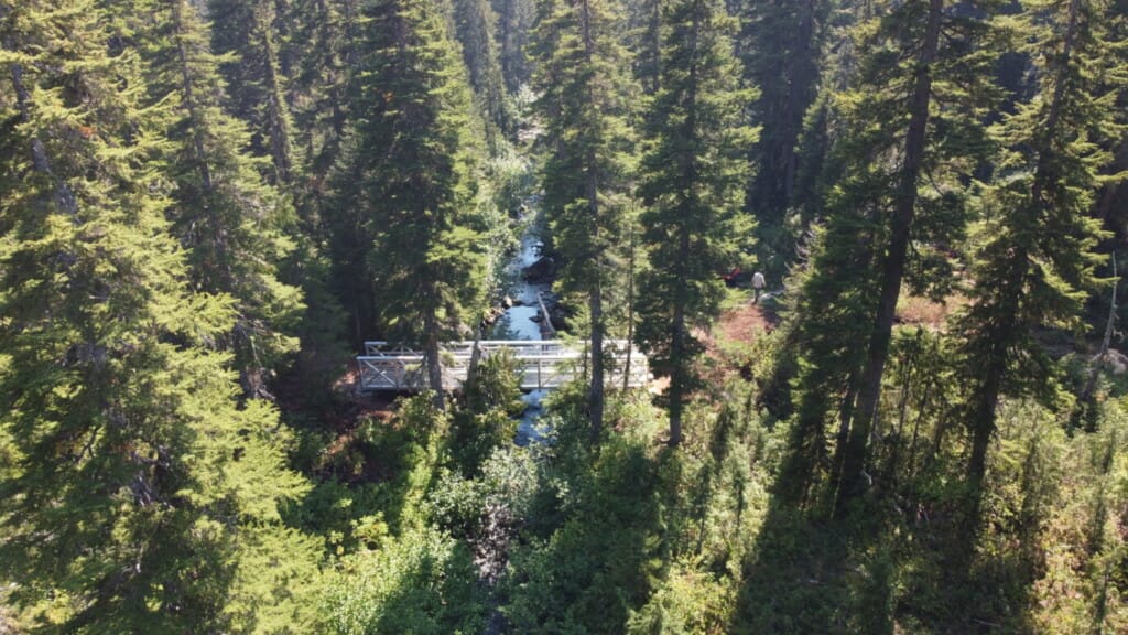 Drone shot of Madeley Lake bridge in Whistler forest.
