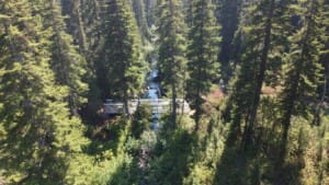 Drone shot of Madeley Lake bridge in Whistler forest.