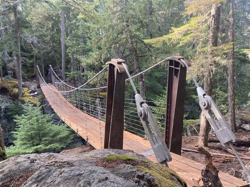 The new Wedge Bridge (Al Grey Memorial) on Comfortably Numb Trail