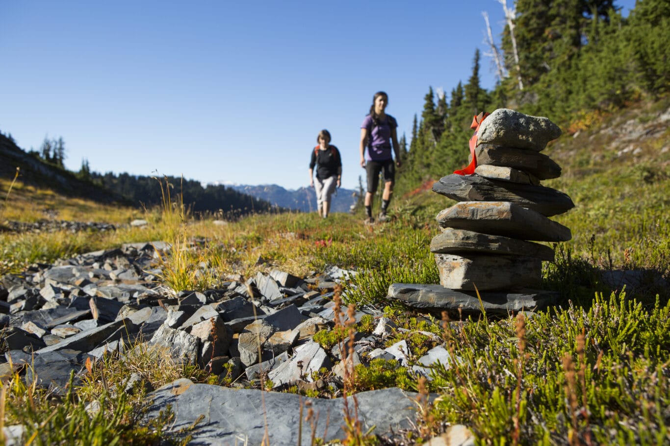Two people hiking in the alpine