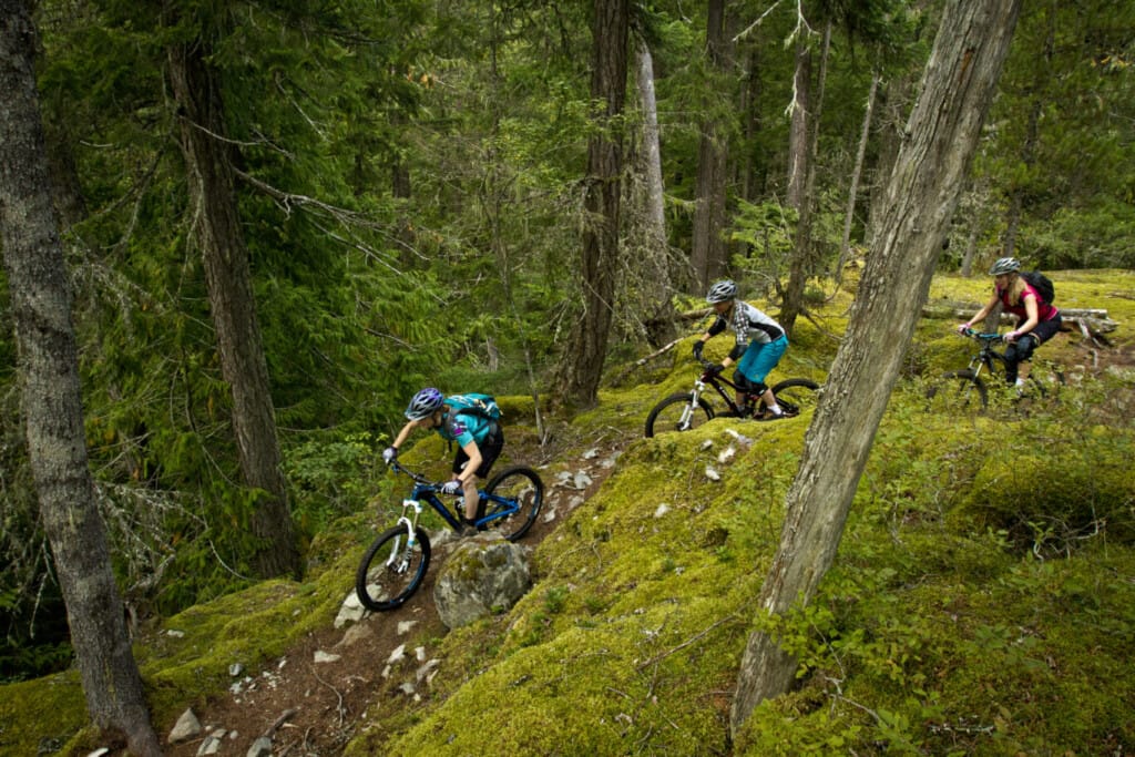 Biking in Whistler