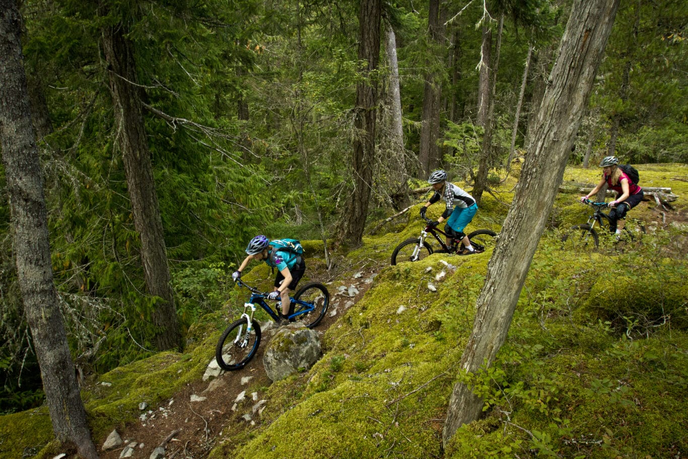 Biking in Whistler