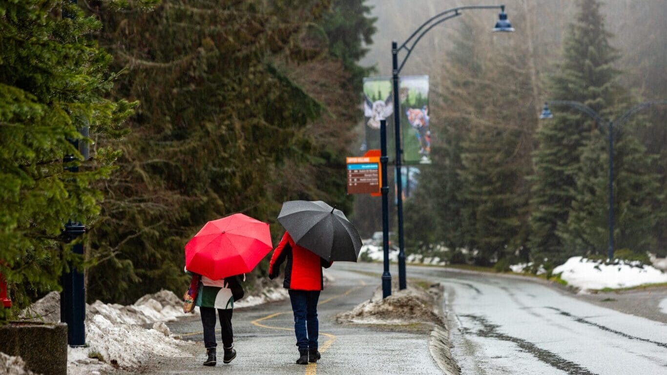 People walk in the rain with umbrellas.