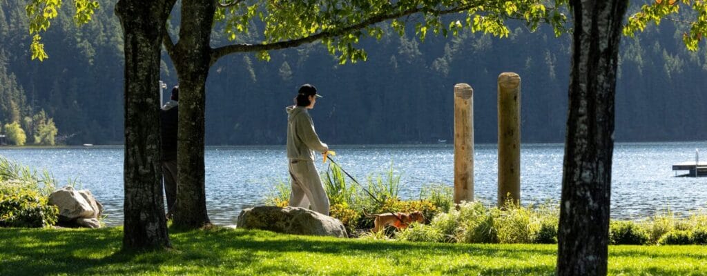 Man walks dog near lake in Rainbow Park