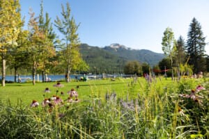 Whistler Rainbow Park