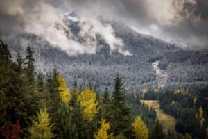 Fresh snow on the mountains in Whistler.