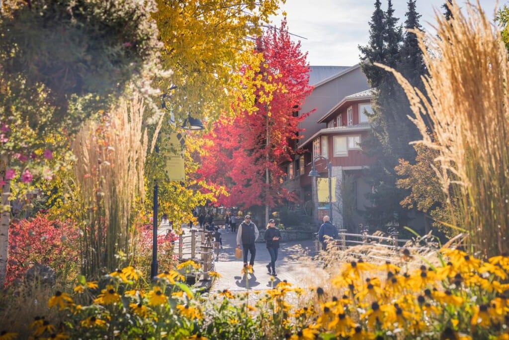 Fall in Whistler Village.