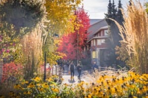 Fall in Whistler Village.