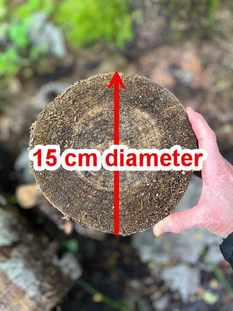 Image of a tree truck diameter