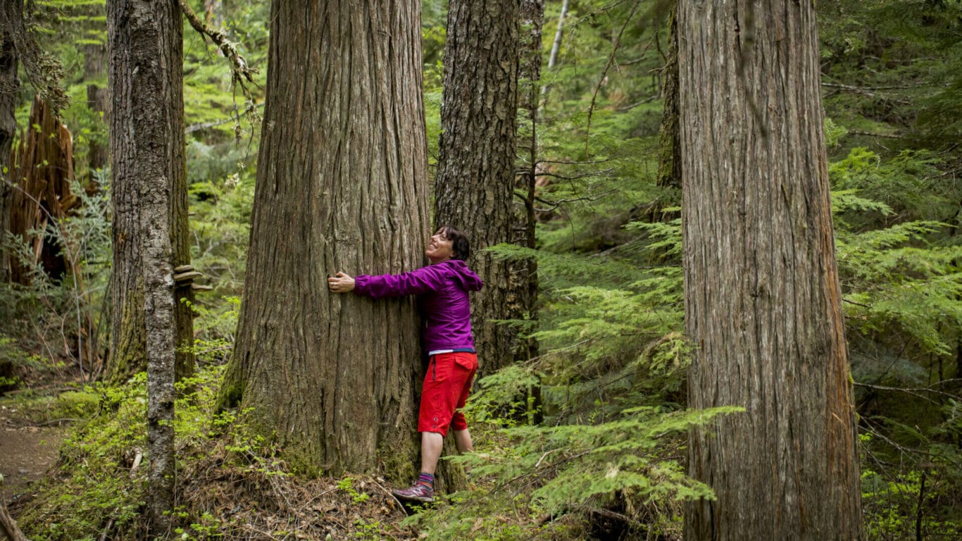 Tree hugging photo by Mike Crane/TW
