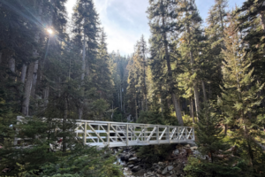 New bridge on the Rainbow Lake trail in Whistler.