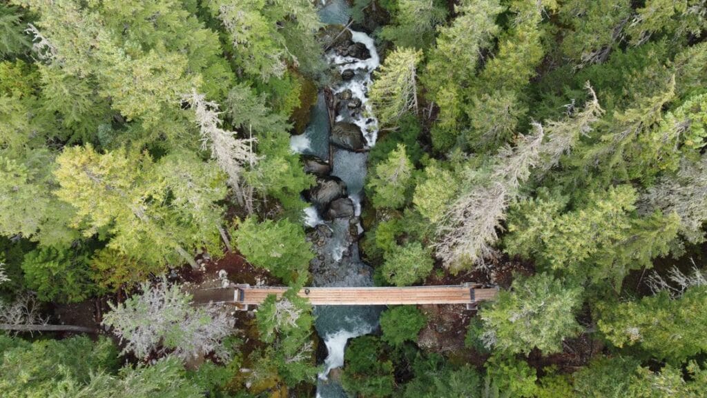 Wedge Bridge